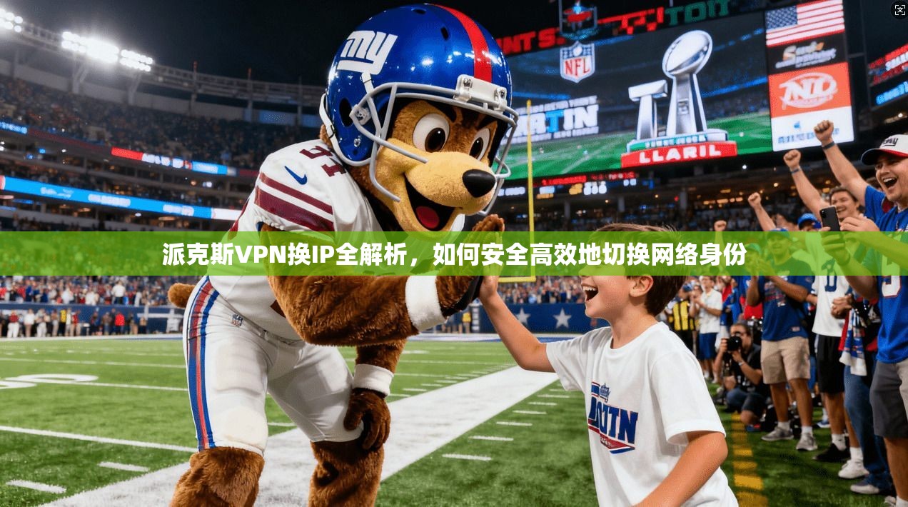 派克斯VPN换IP全解析，如何安全高效地切换网络身份