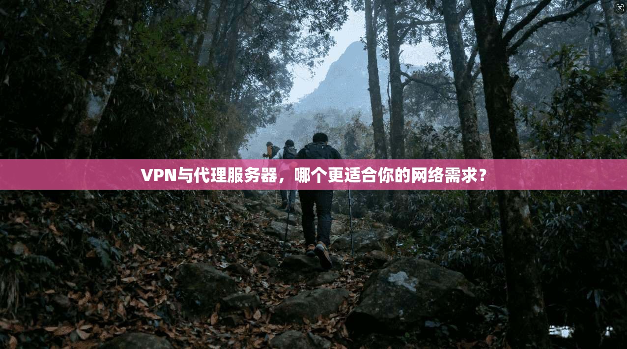 VPN与代理服务器，哪个更适合你的网络需求？