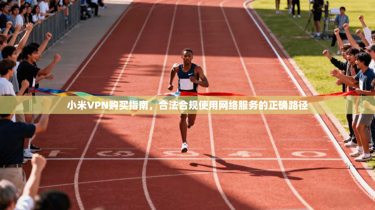 小米VPN购买指南，合法合规使用网络服务的正确路径
