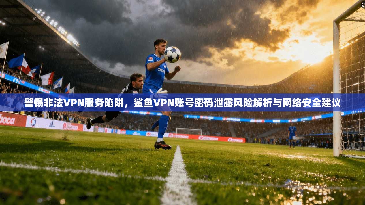 警惕非法VPN服务陷阱，鲨鱼VPN账号密码泄露风险解析与网络安全建议