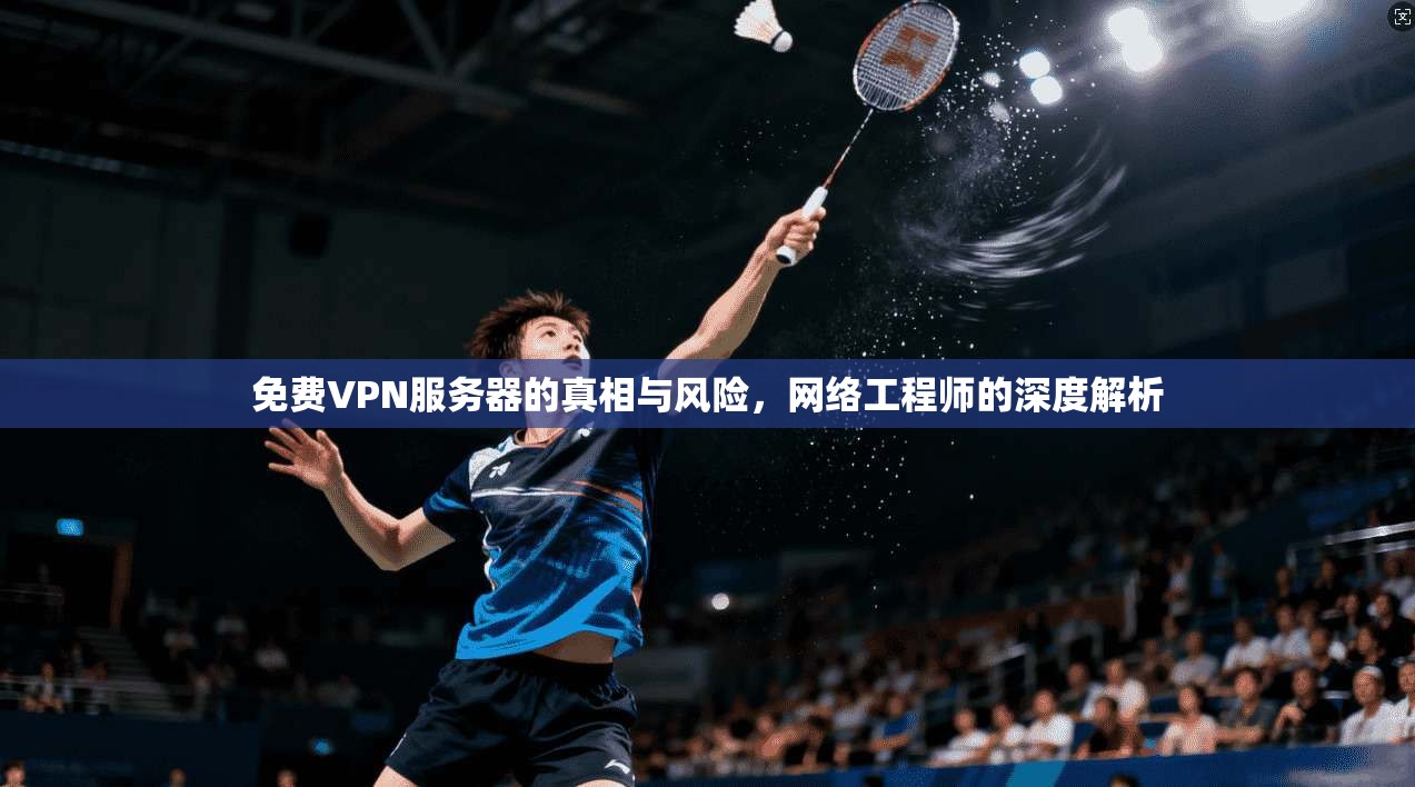 免费VPN服务器的真相与风险，网络工程师的深度解析