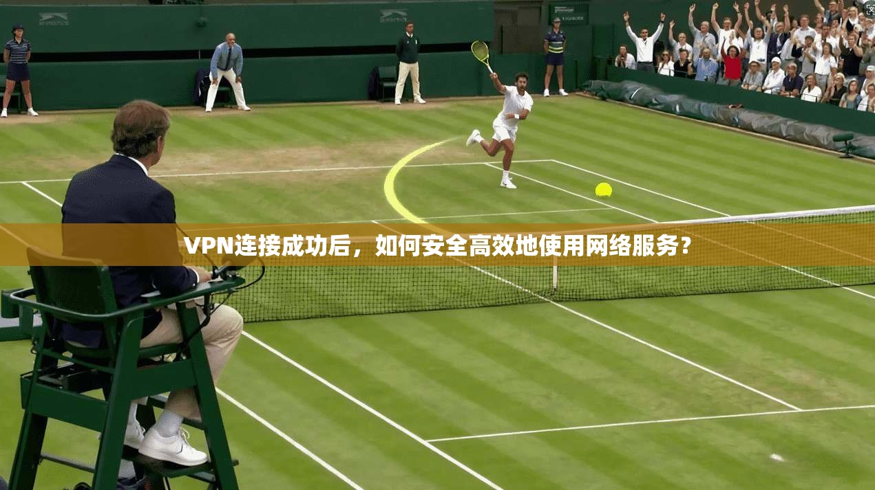 VPN连接成功后，如何安全高效地使用网络服务？