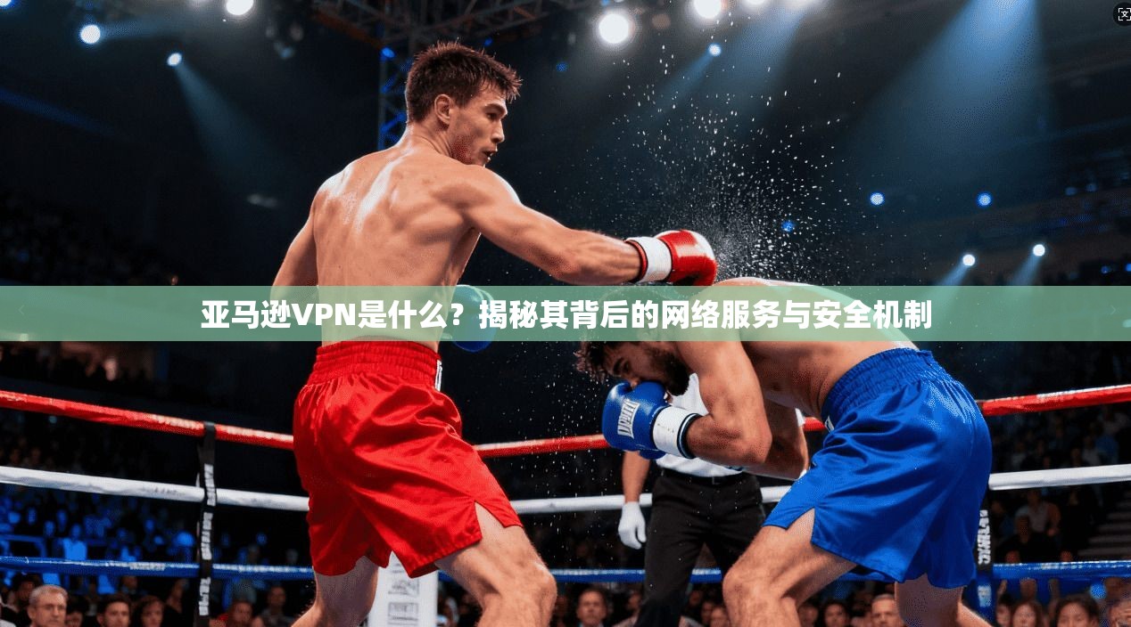 亚马逊VPN是什么？揭秘其背后的网络服务与安全机制