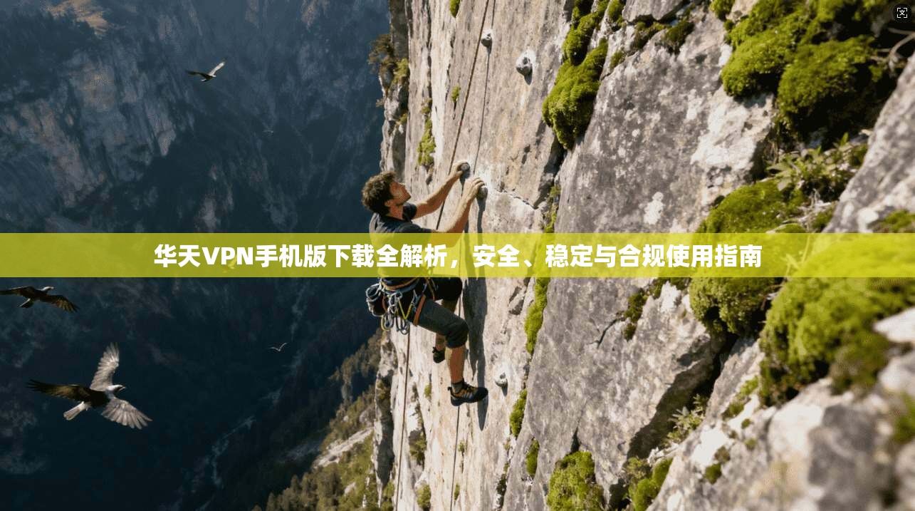 华天VPN手机版下载全解析，安全、稳定与合规使用指南