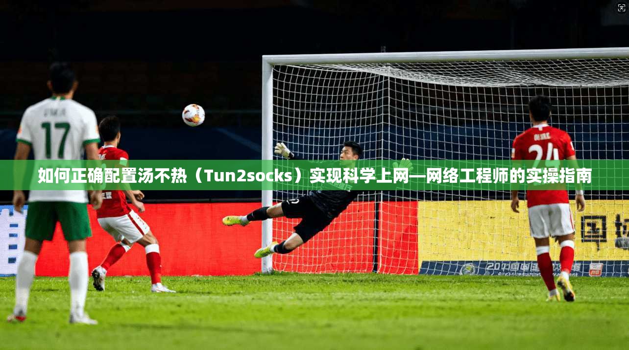如何正确配置汤不热（Tun2socks）实现科学上网—网络工程师的实操指南