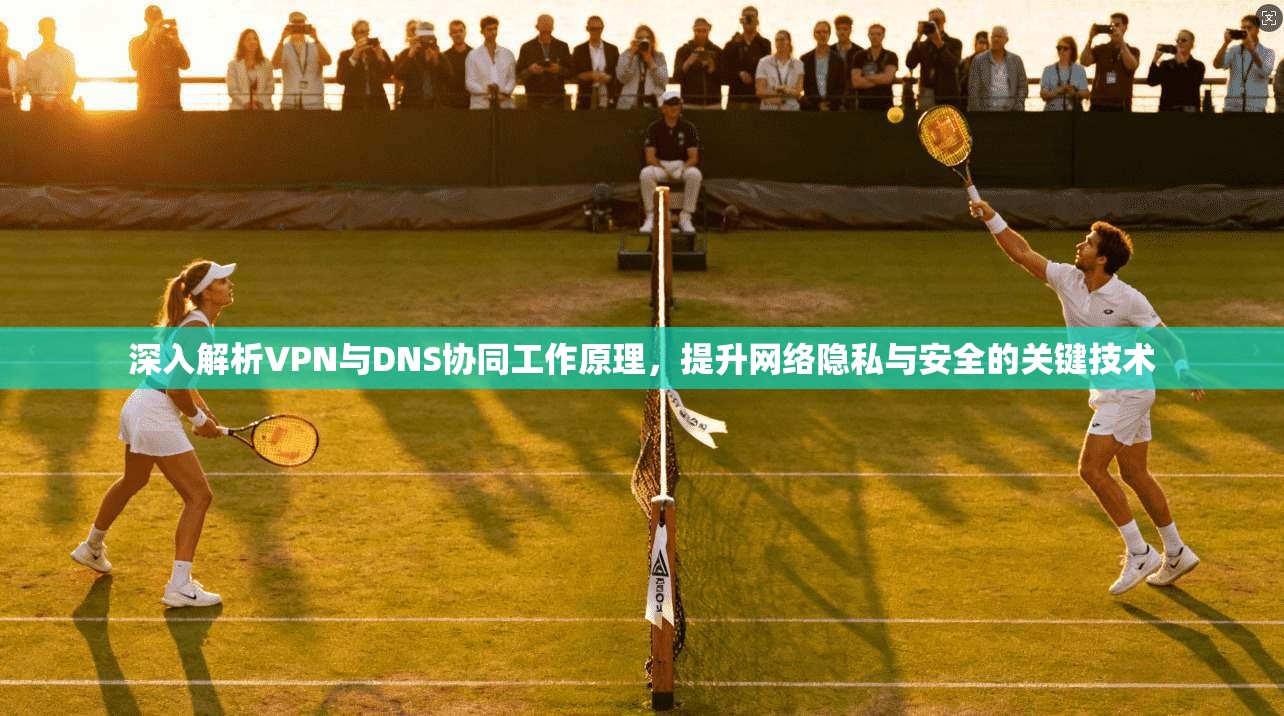 深入解析VPN与DNS协同工作原理，提升网络隐私与安全的关键技术