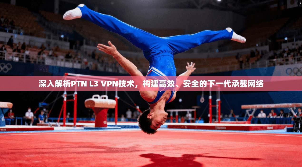 深入解析PTN L3 VPN技术，构建高效、安全的下一代承载网络