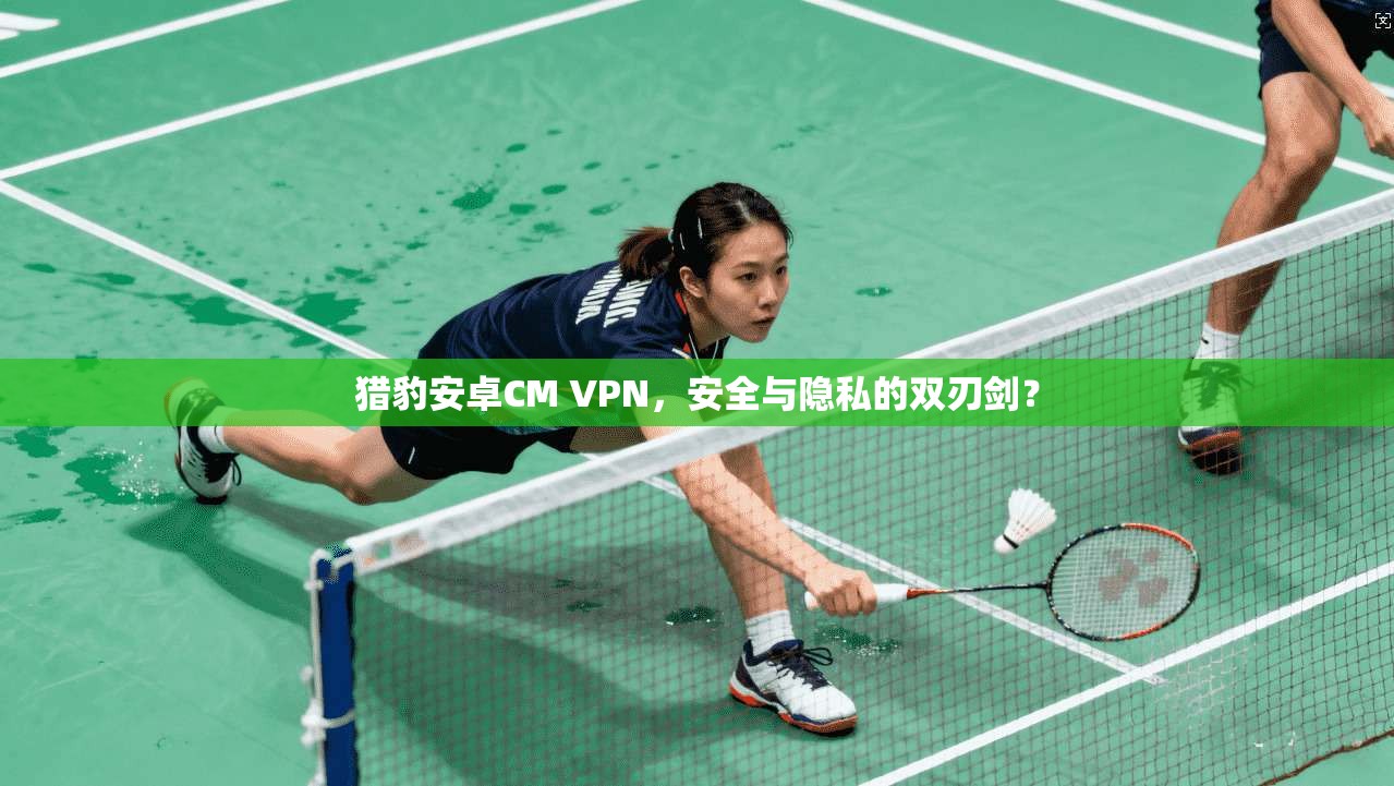 猎豹安卓CM VPN，安全与隐私的双刃剑？