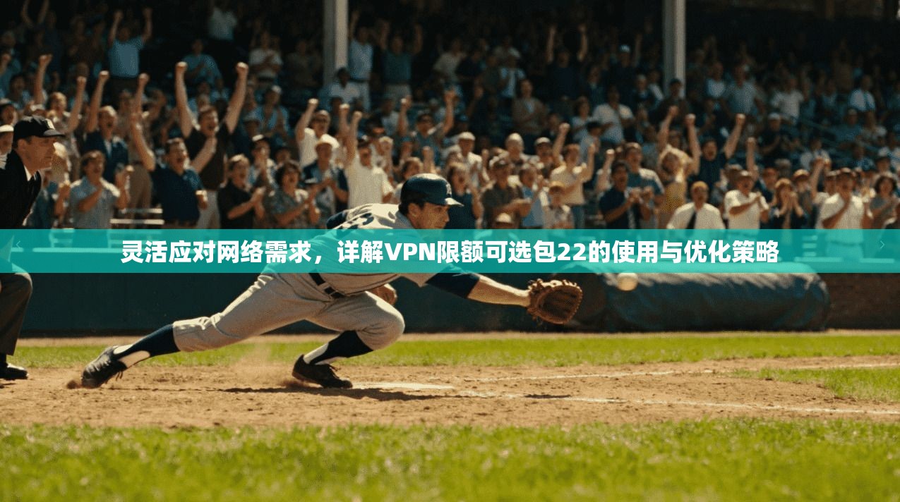 灵活应对网络需求，详解VPN限额可选包22的使用与优化策略