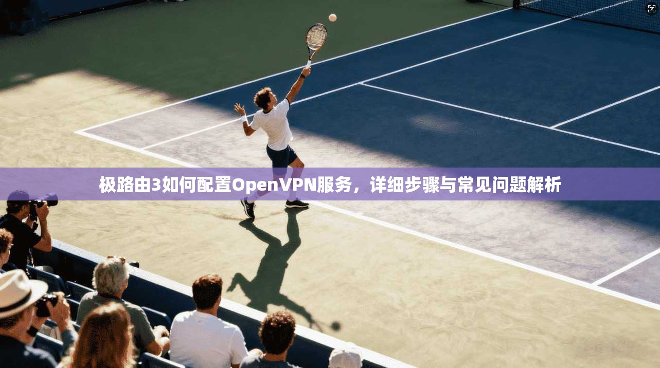 极路由3如何配置OpenVPN服务，详细步骤与常见问题解析