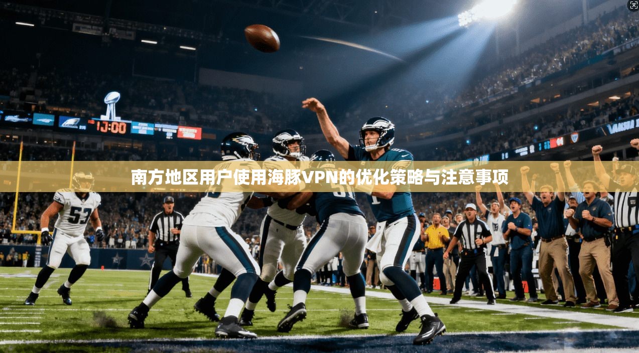 南方地区用户使用海豚VPN的优化策略与注意事项