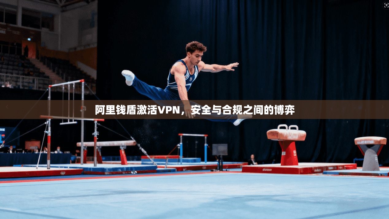 阿里钱盾激活VPN,安全与合规之间的博弈 阿里钱盾激活VPN,安全与合规之间的博弈