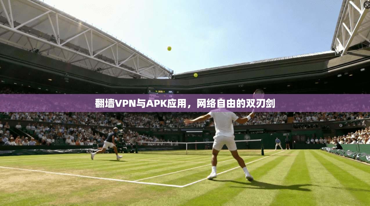 翻墙VPN与APK应用,网络自由的双刃剑 翻墙VPN与APK应用,网络自由的双刃剑