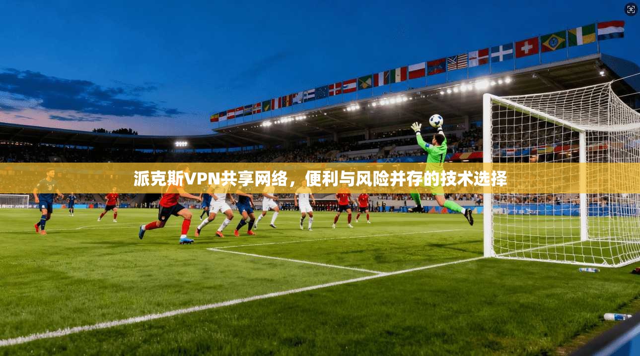 派克斯VPN共享网络，便利与风险并存的技术选择