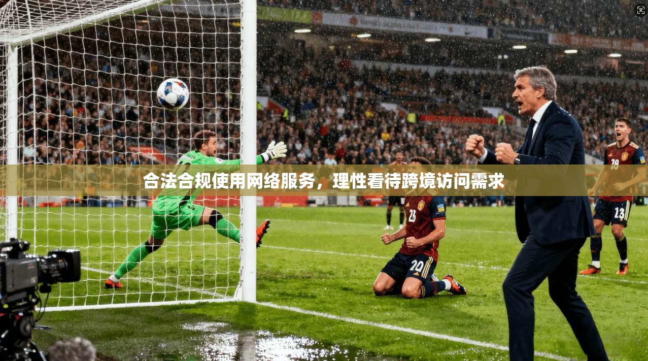 合法合规使用网络服务，理性看待跨境访问需求