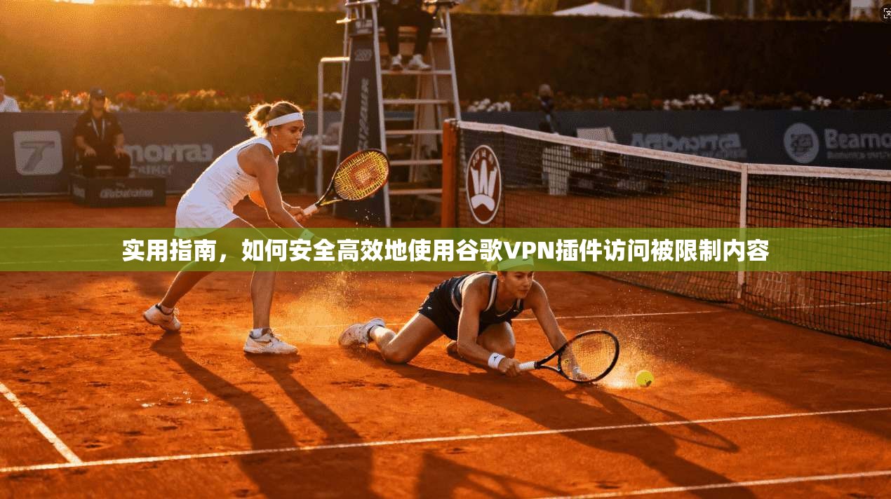实用指南，如何安全高效地使用谷歌VPN插件访问被限制内容