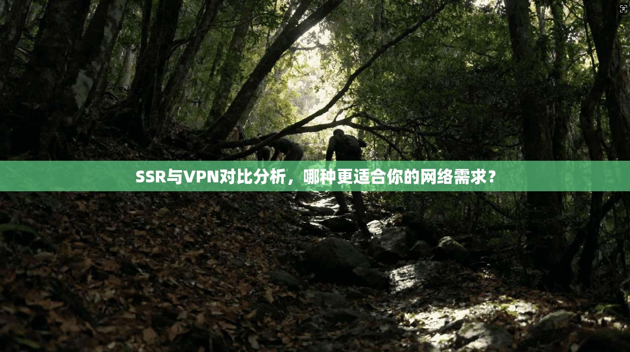 SSR与VPN对比分析，哪种更适合你的网络需求？