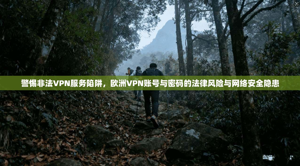 警惕非法VPN服务陷阱，欧洲VPN账号与密码的法律风险与网络安全隐患