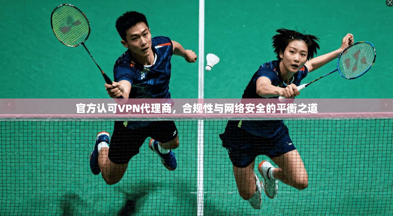 官方认可VPN代理商,合规性与网络安全的平衡之道 官方认可VPN代理商,合规性与网络安全的平衡之道