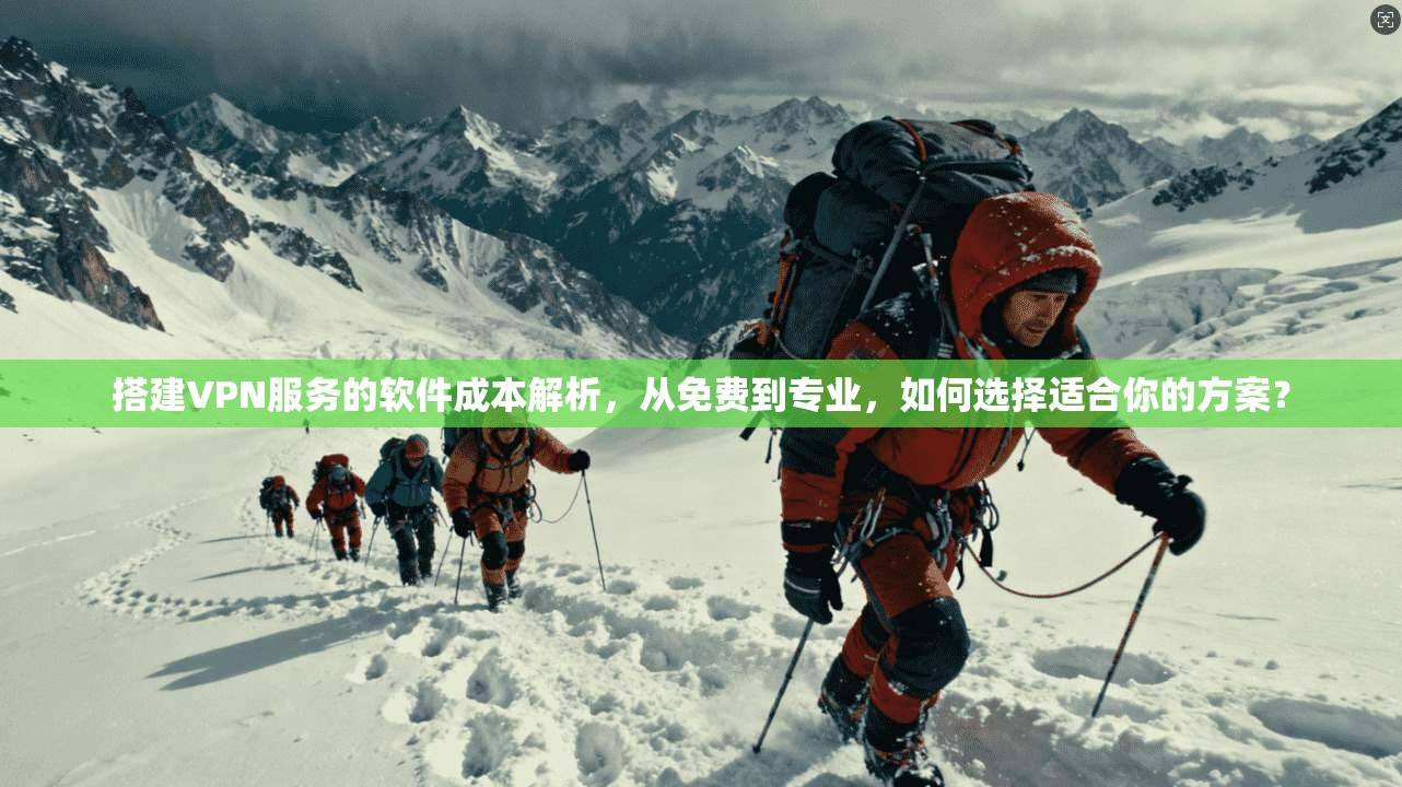 搭建VPN服务的软件成本解析,从免费到专业,如何选择适合你的方案? 搭建VPN服务的软件成本解析,从免费到专业,如何选择适合你的方案?