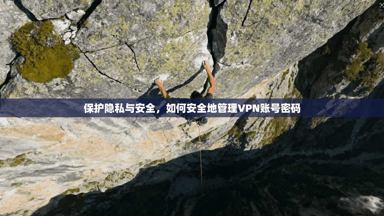 保护隐私与安全，如何安全地管理VPN账号密码