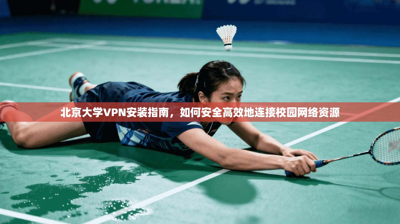 北京大学VPN安装指南，如何安全高效地连接校园网络资源