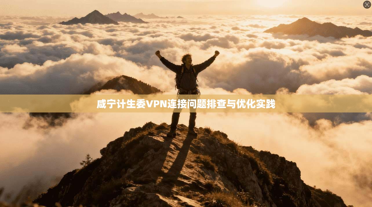 咸宁计生委VPN连接问题排查与优化实践