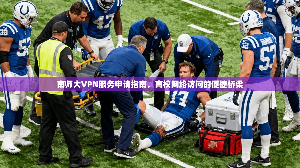 南师大VPN服务申请指南，高校网络访问的便捷桥梁