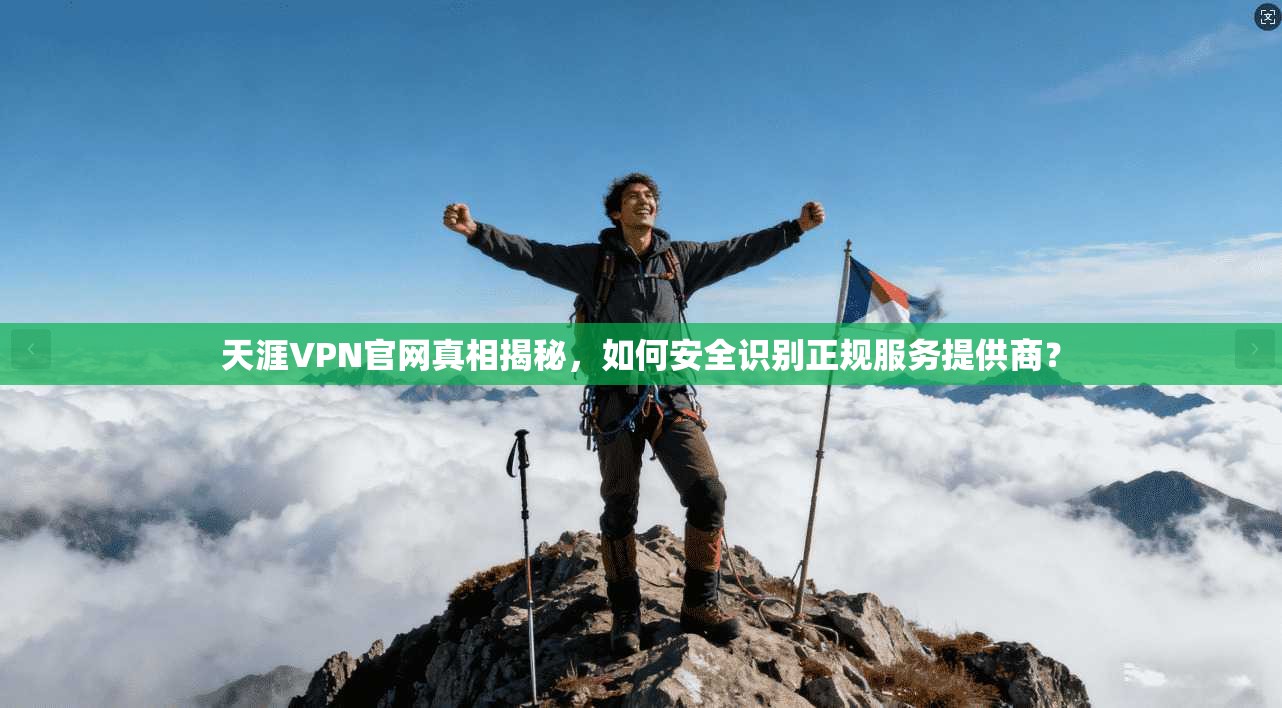 天涯VPN官网真相揭秘，如何安全识别正规服务提供商？