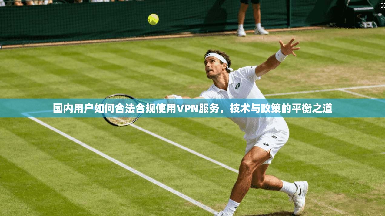 国内用户如何合法合规使用VPN服务,技术与政策的平衡之道 国内用户如何合法合规使用VPN服务,技术与政策的平衡之道