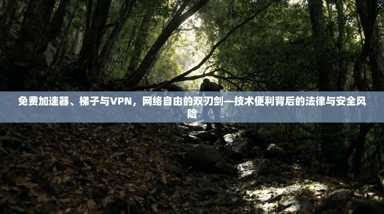 免费加速器、梯子与VPN,网络自由的双刃剑—技术便利背后的法律与安全风险 免费加速器、梯子与VPN,网络自由的双刃剑—技术便利背后的法律与安全风险
