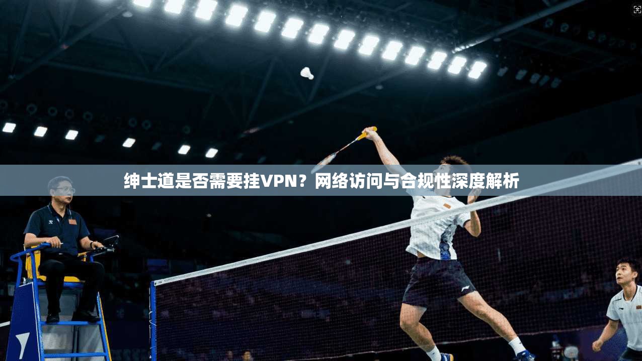 绅士道是否需要挂VPN？网络访问与合规性深度解析