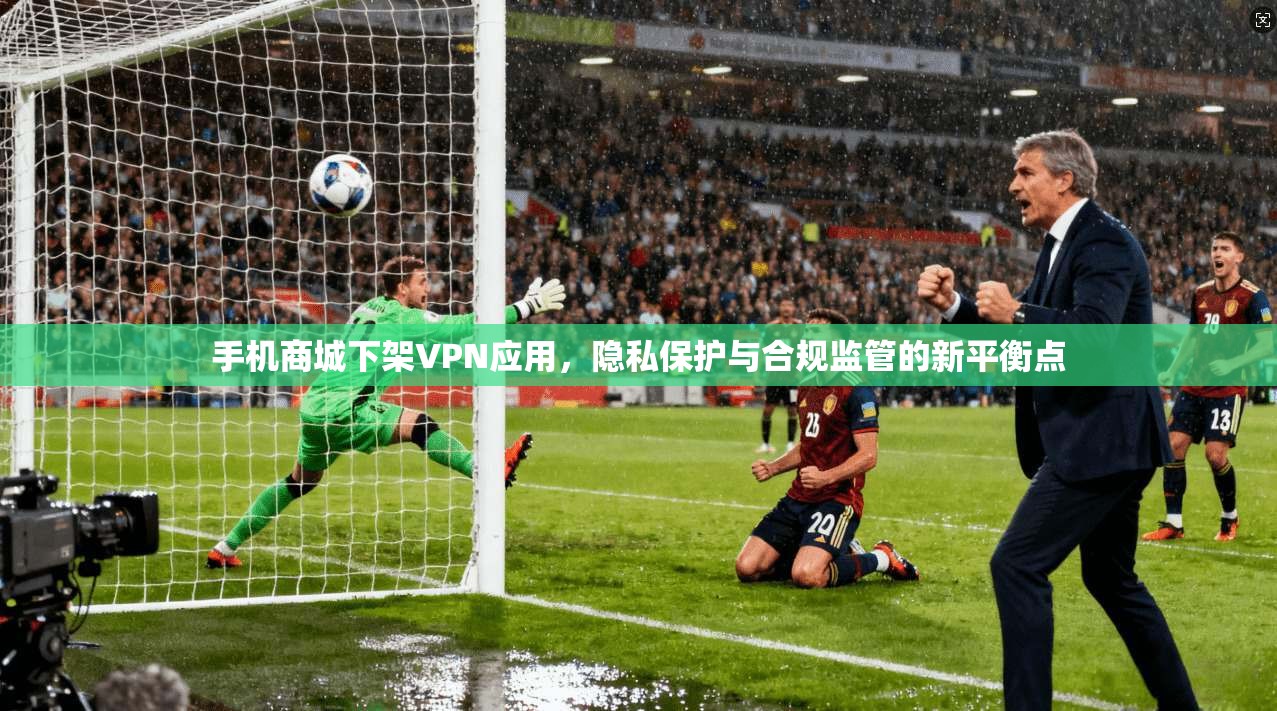 手机商城下架VPN应用，隐私保护与合规监管的新平衡点