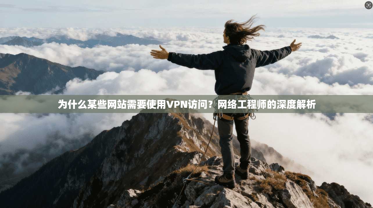 为什么某些网站需要使用VPN访问?网络工程师的深度解析 为什么某些网站需要使用VPN访问?网络工程师的深度解析
