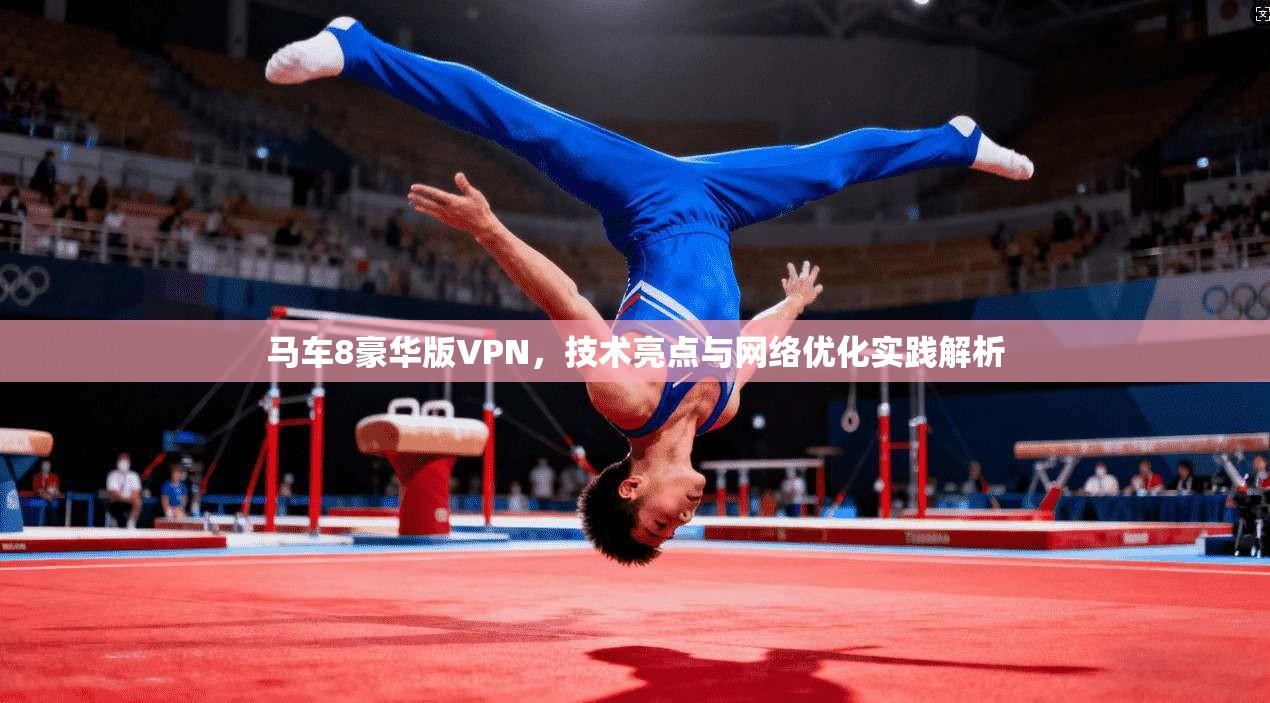 马车8豪华版VPN,技术亮点与网络优化实践解析 马车8豪华版VPN,技术亮点与网络优化实践解析