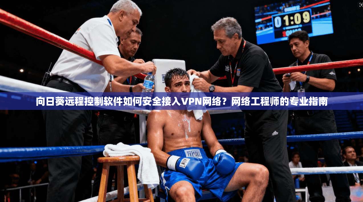 向日葵远程控制软件如何安全接入VPN网络?网络工程师的专业指南 向日葵远程控制软件如何安全接入VPN网络?网络工程师的专业指南