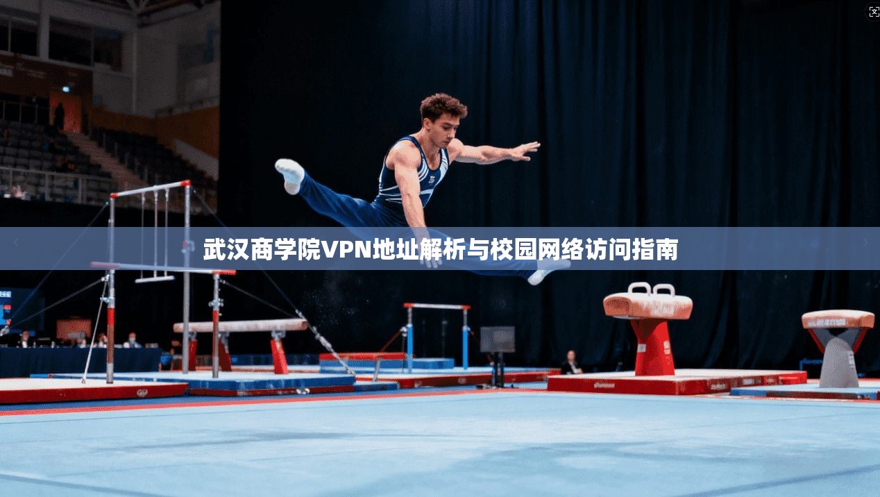 武汉商学院VPN地址解析与校园网络访问指南