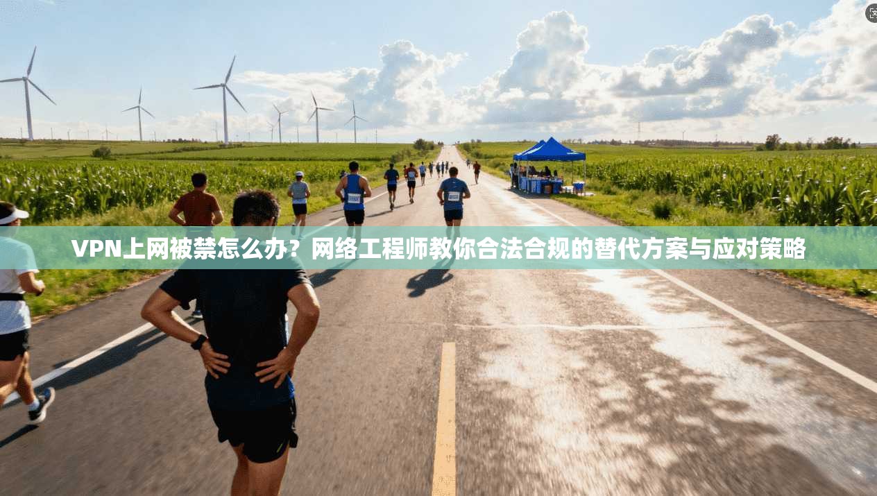 VPN上网被禁怎么办?网络工程师教你合法合规的替代方案与应对策略 VPN上网被禁怎么办?网络工程师教你合法合规的替代方案与应对策略