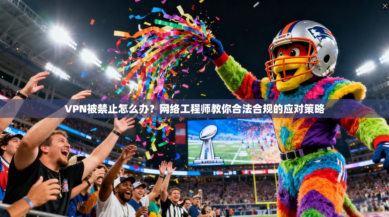 VPN被禁止怎么办?网络工程师教你合法合规的应对策略 VPN被禁止怎么办?网络工程师教你合法合规的应对策略