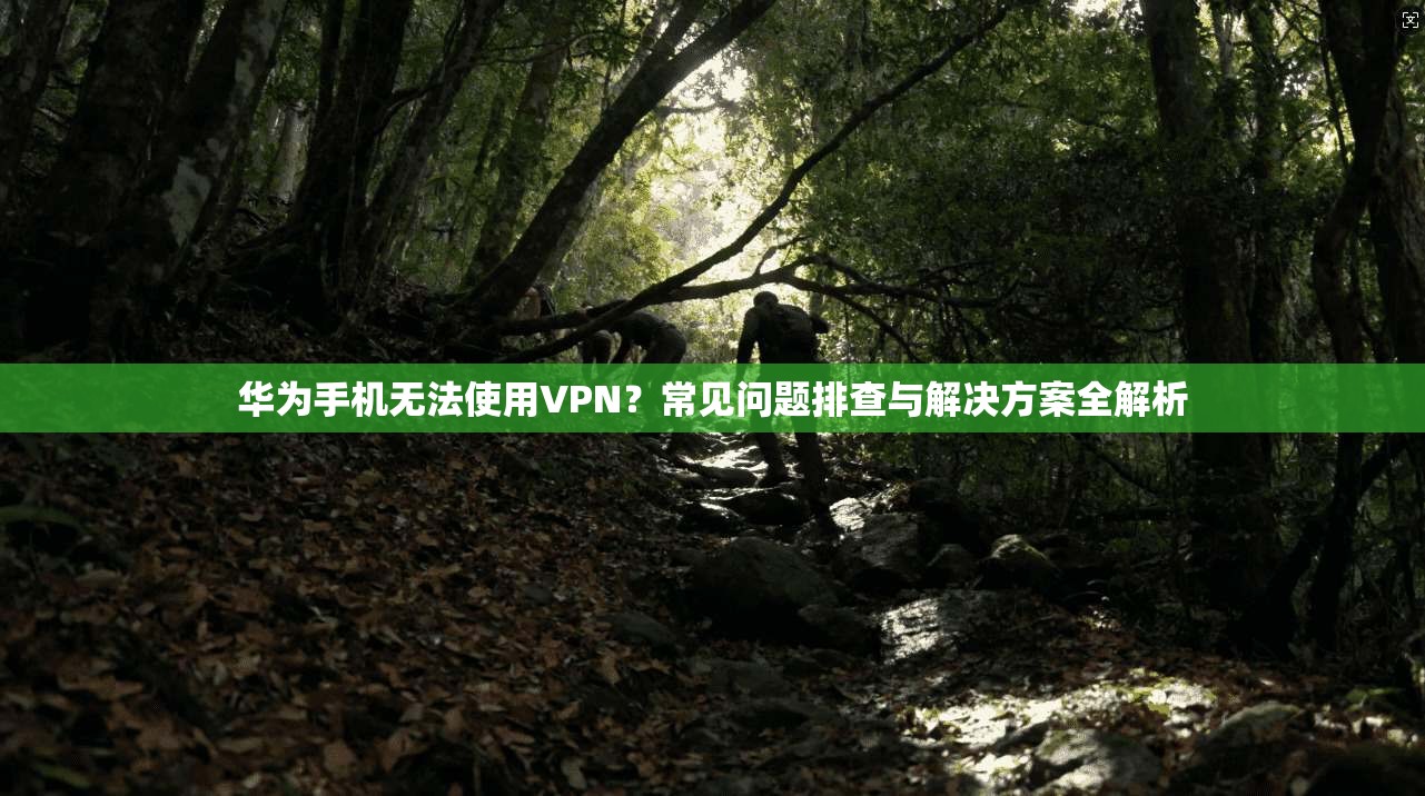 华为手机无法使用VPN?常见问题排查与解决方案全解析 华为手机无法使用VPN?常见问题排查与解决方案全解析