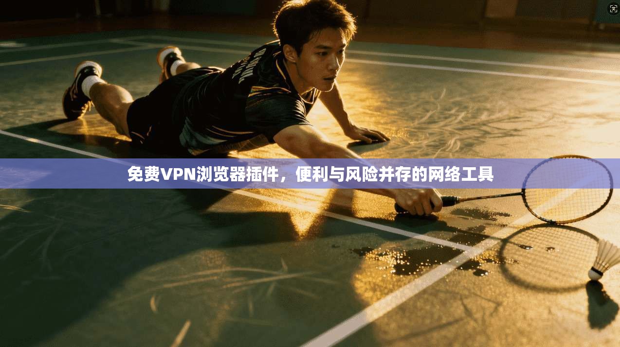 免费VPN浏览器插件，便利与风险并存的网络工具