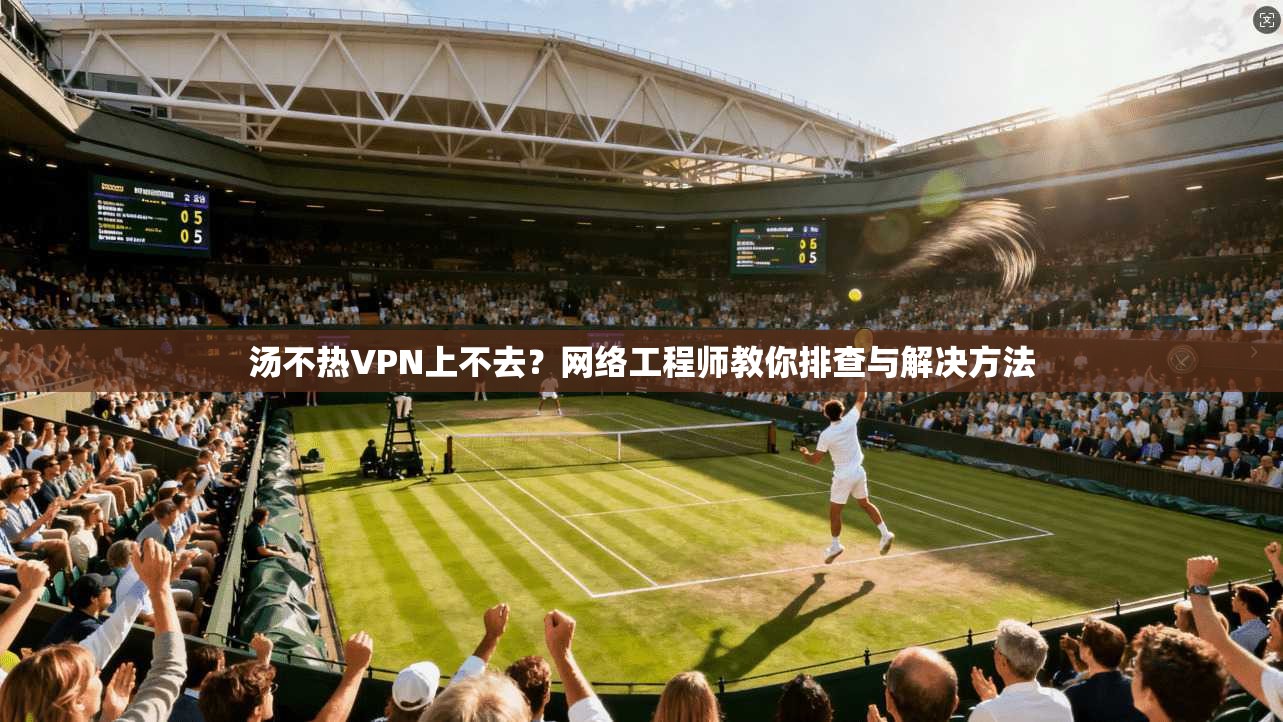 汤不热VPN上不去?网络工程师教你排查与解决方法 汤不热VPN上不去?网络工程师教你排查与解决方法