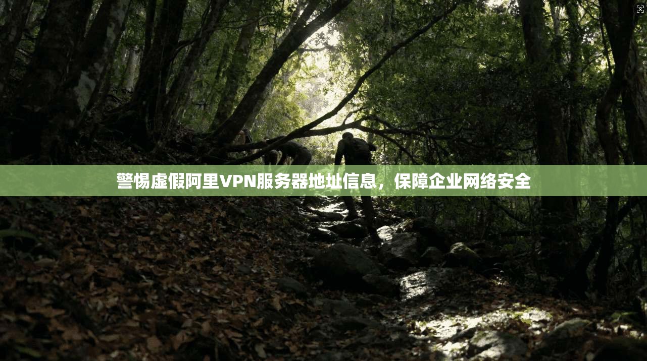警惕虚假阿里VPN服务器地址信息，保障企业网络安全