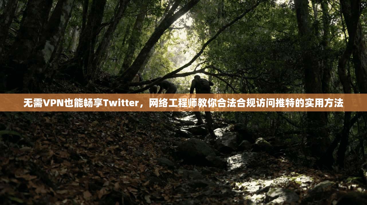 无需VPN也能畅享Twitter，网络工程师教你合法合规访问推特的实用方法