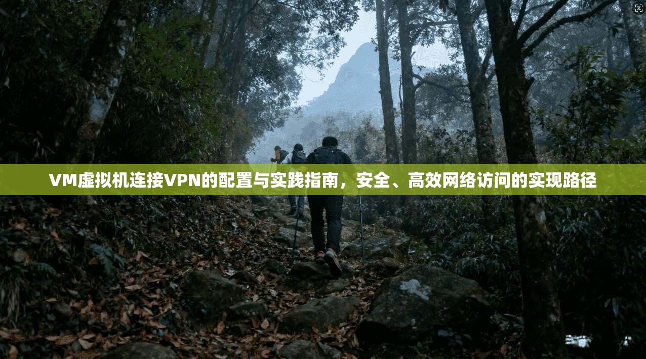 VM虚拟机连接VPN的配置与实践指南，安全、高效网络访问的实现路径