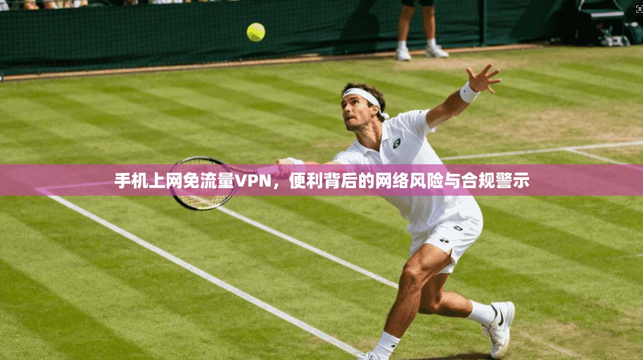 手机上网免流量VPN,便利背后的网络风险与合规警示 手机上网免流量VPN,便利背后的网络风险与合规警示