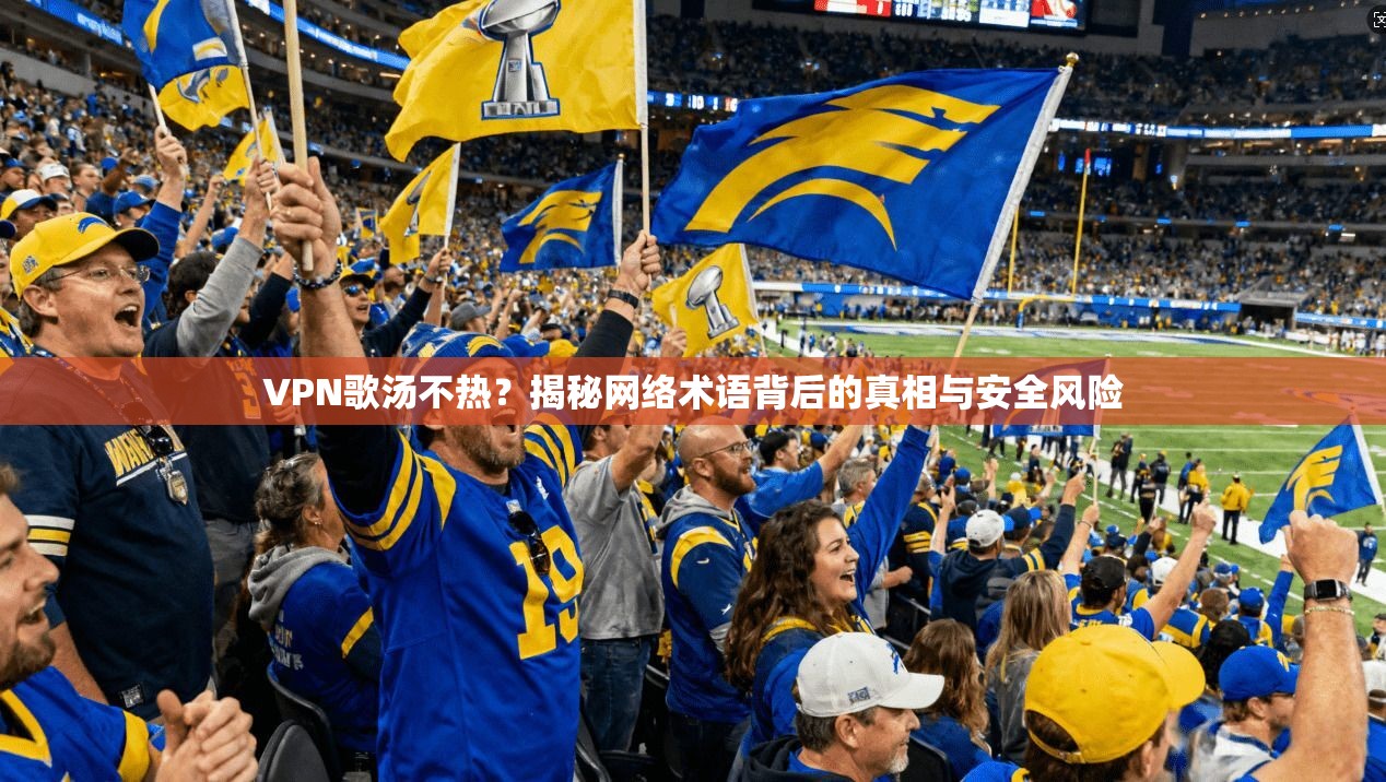 VPN歌汤不热?揭秘网络术语背后的真相与安全风险 VPN歌汤不热?揭秘网络术语背后的真相与安全风险