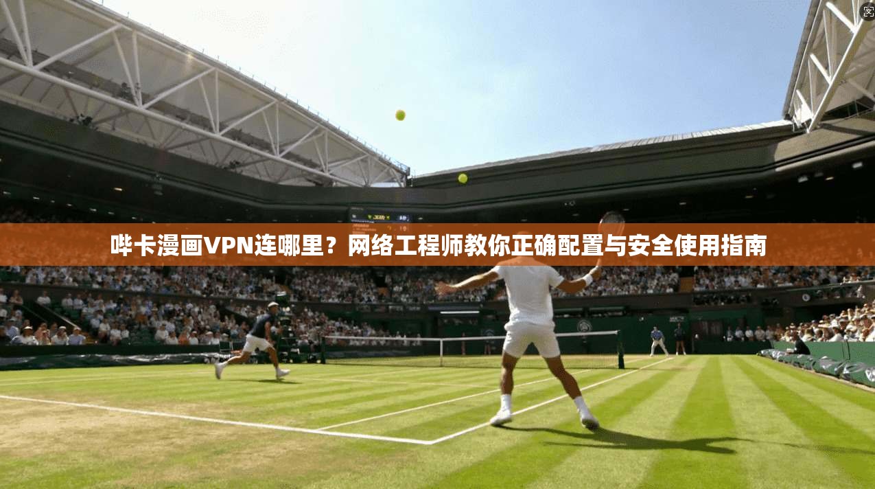 哔卡漫画VPN连哪里？网络工程师教你正确配置与安全使用指南