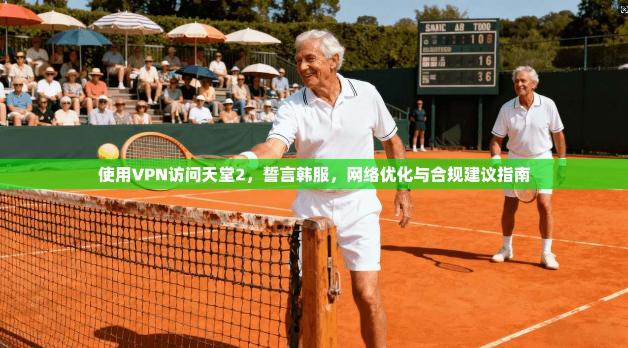 使用VPN访问天堂2，誓言韩服，网络优化与合规建议指南