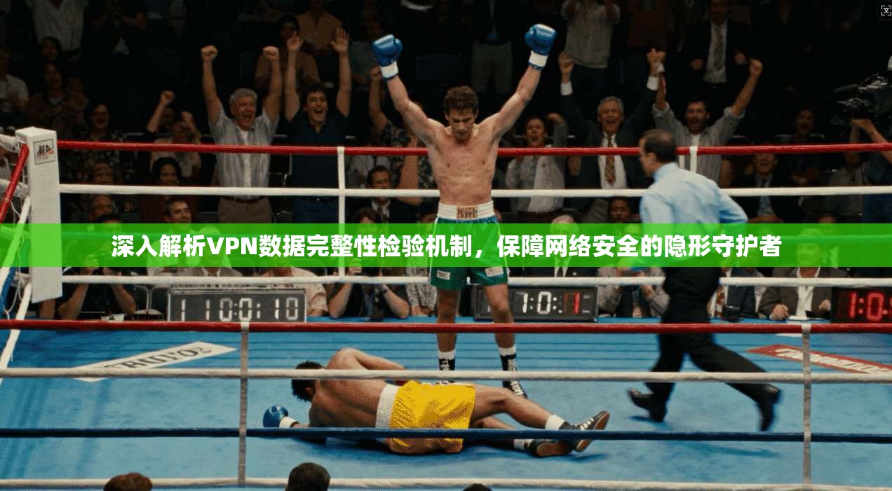 深入解析VPN数据完整性检验机制，保障网络安全的隐形守护者